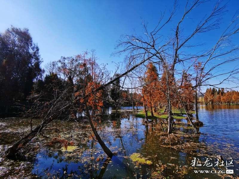 第十二届国际生物发酵产品与技术装备展览会（济南）将于3月举办